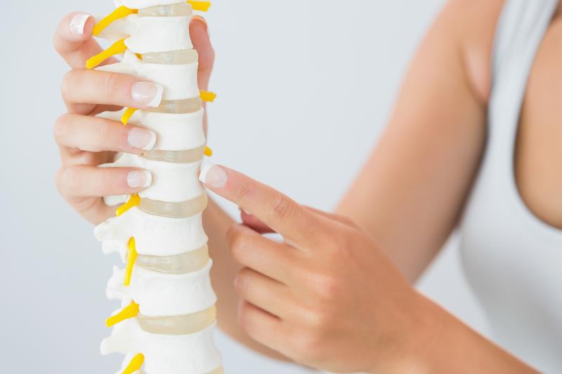 about our chiropractic office Denver, CO 